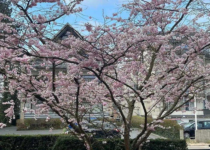 Duenenhaus Garten